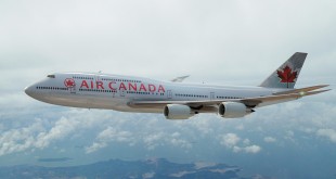 Một phi công của hãng hàng không Air Canada đã quyết định hạ cánh khẩn cấp để cứu sống một chú chó.