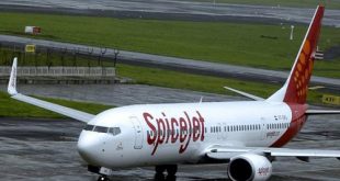 Một chiếc máy bay của hãng hàng không Spicejet.