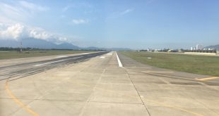 Việc các con vật xâm nhập vào đường băng đã từng xảy ra ở nhiều sân bay