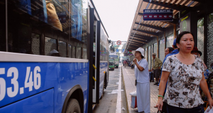 Hành khách được đi chơi miễn phí bằng xe buýt đến các khu du lịch ở Sài Gòn.