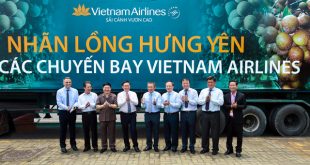 Chuyến xe đầu tiên chở nhãn lồng Hưng Yên để cấp lên máy bay của Vietnam Airlines